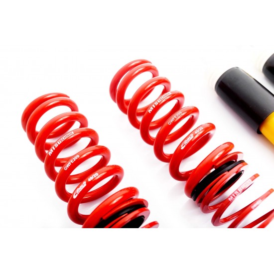 Suspensie sport reglabila varianta BMW 1 Series / E82 Coupe Sport E82