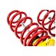 Suspensie sport fixa Audi A4 B5 Kombi 8D5